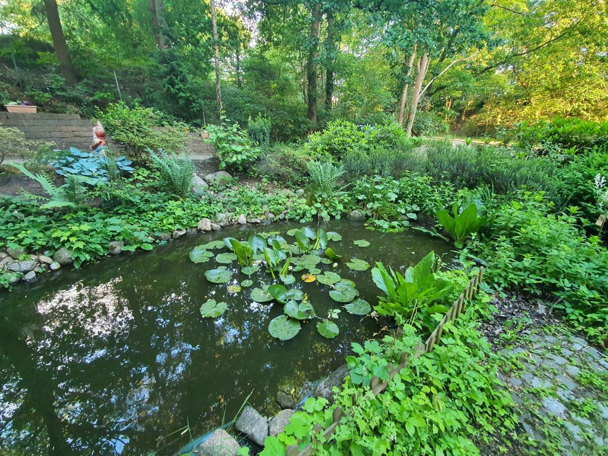 Apartment Bei Hamburg Bis 10 Personen Mit Terasse Und Gartennutzung. Buchholz in der Nordheide Luaran gambar